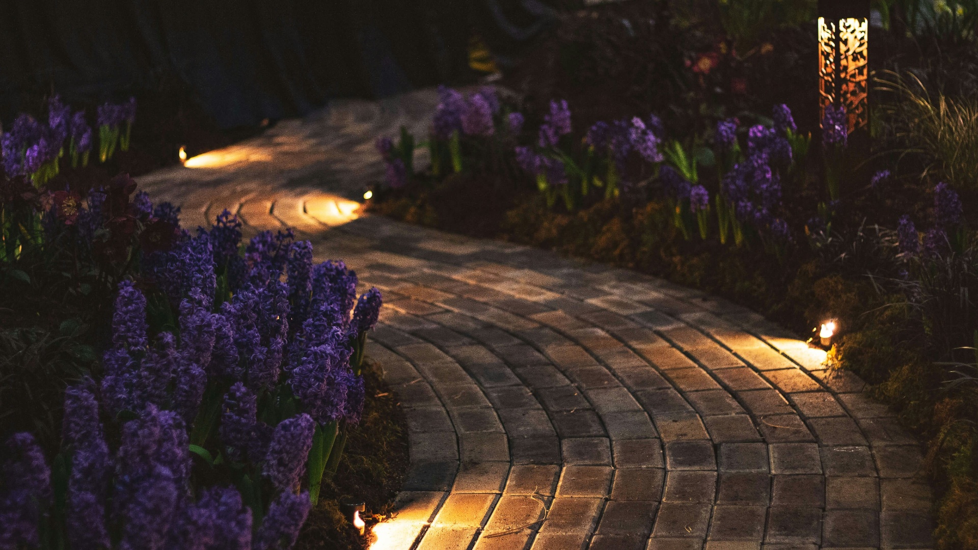 Curved paver walkway lit by warm landscape path lights at night through a flower bed